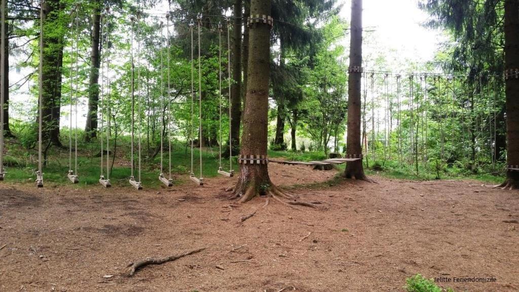App 507 Bocksbergblick Im Ferienpark Hahnenklee Haus 1 고슬라르 외부 사진